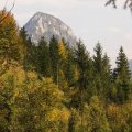 RSEIMG_8467-01 