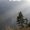 RSEIMG_8477-01 
