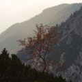 RSEIMG_8517-01 