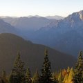 RSEIMG_8537-01 