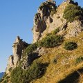 RSEIMG_8569-01 