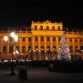 IMG_0490 
