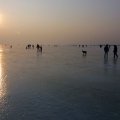 IMG_2318