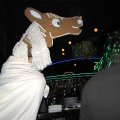 img_0955