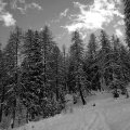 img_2027