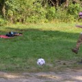 IMG_9737 