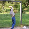 IMG_9756 