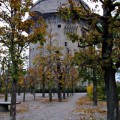 IMG_1151 