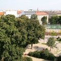 IMG_7984