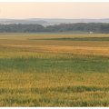 IMG_5449 Bei Sommerrein