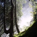 Lichtfall 
