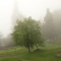 IMG_5826 