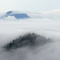 IMG_5864 