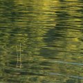 IMG_6103 