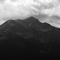 IMG_6143bw 