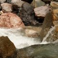IMG_6412 