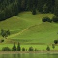 IMG_6496 