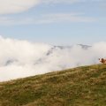 IMG_6498 