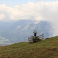 IMG_6517 