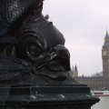 IMG_6150