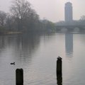 img_6185 Hyde Park - The Serpentine