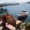 IMG_5969