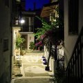 IMG_6082