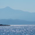 IMG_6184