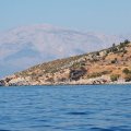 IMG_6226