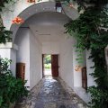 IMG_6469