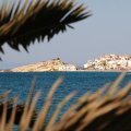 IMG_6521