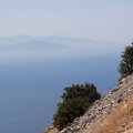 IMG_6580