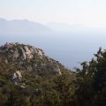 IMG_6783