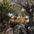Sardinien_045 