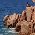 Sardinien_053 