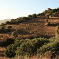 Sardinien_072 