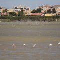 Sardinien_074 