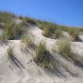 Sardinien_111 