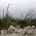 img_2471