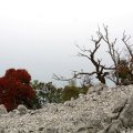 img_2478