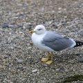 img_2479