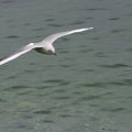 img_2493 Mwe
